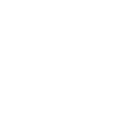 $ icon