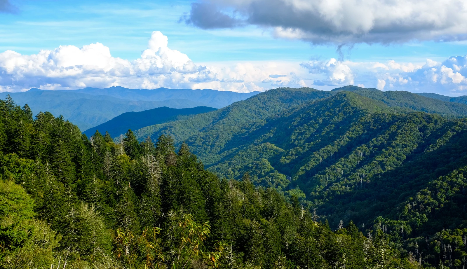 shutterstock_1543440992