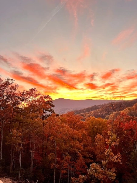 Dreamy Views @ Timber Cove 112