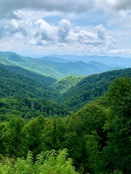 Dreamy Views @ Timber Cove 112
