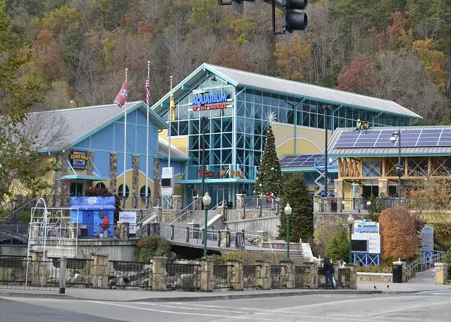Mountain Vista