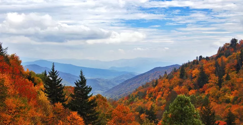 Mountain Vista