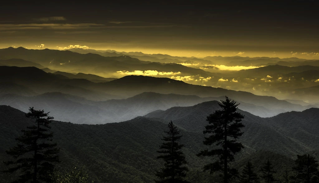 Mountain Vista