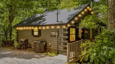 Black Bear Retreat