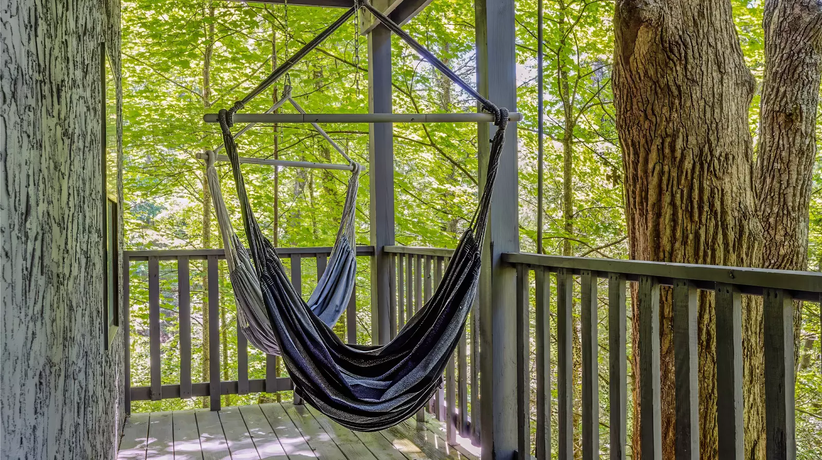Black Bear Retreat