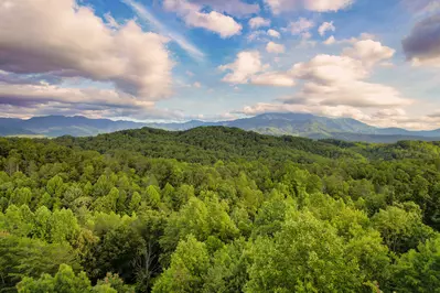 Mountain Vista