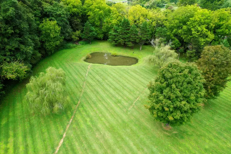 Keaton's Firefly Meadow