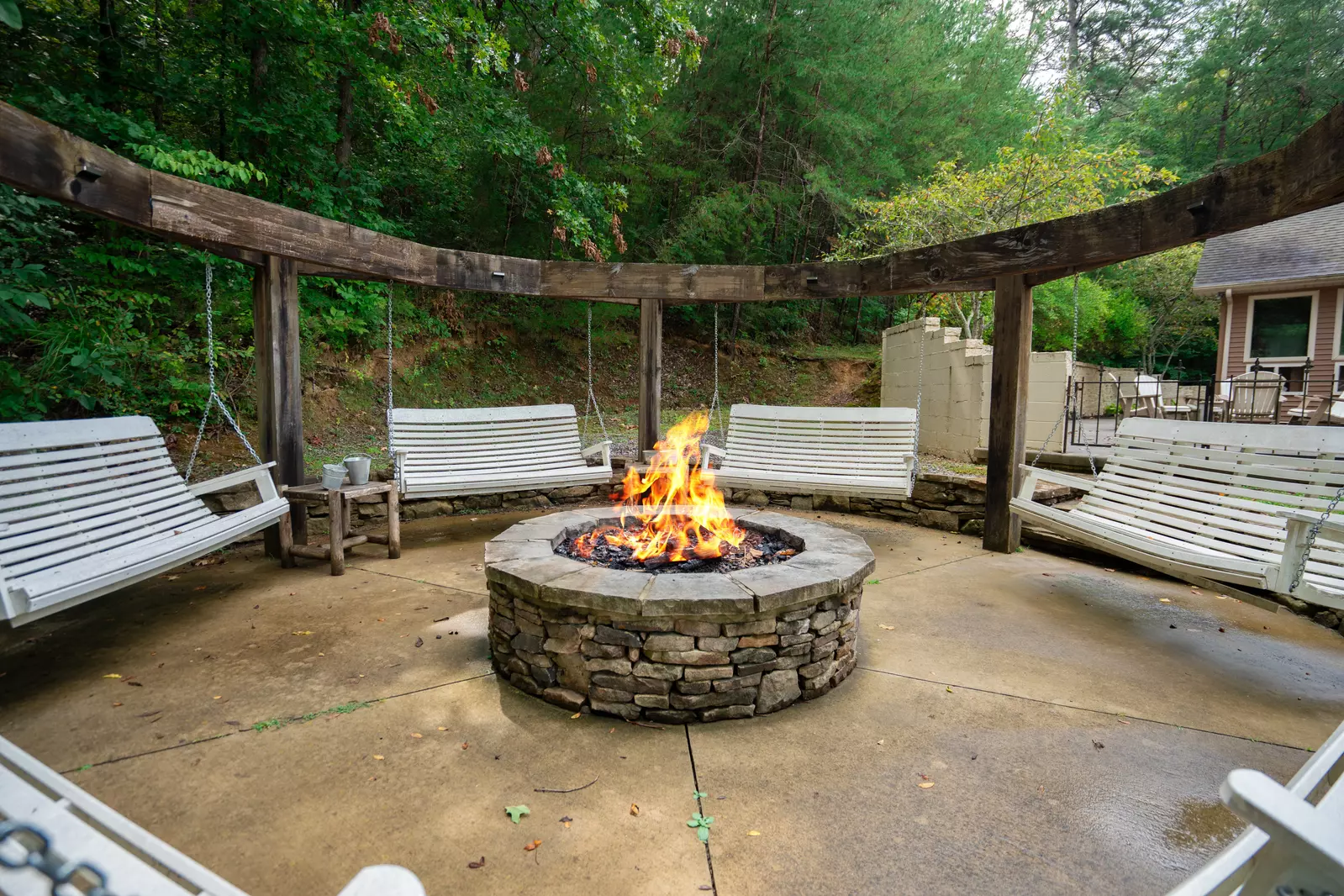 Keaton's Firefly Meadow