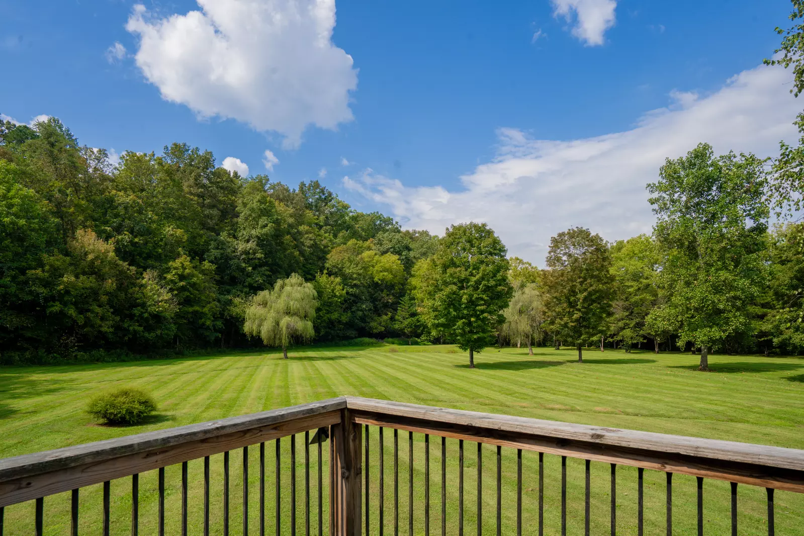 Keaton's Firefly Meadow