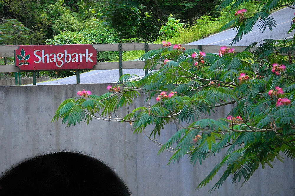 The Manor @ Smoky Mountains Estate