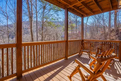 Cozy Bear Lodge