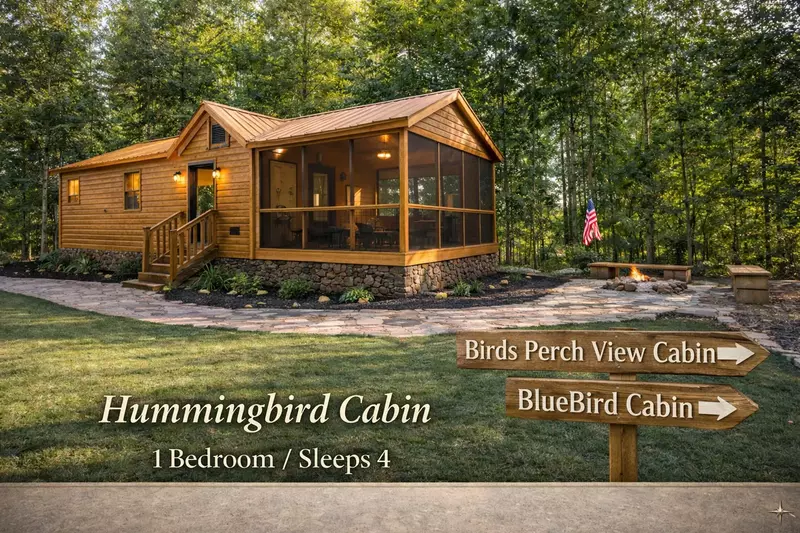 Birds Perch Hummingbird