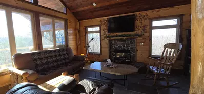 Birds Perch Bluebird