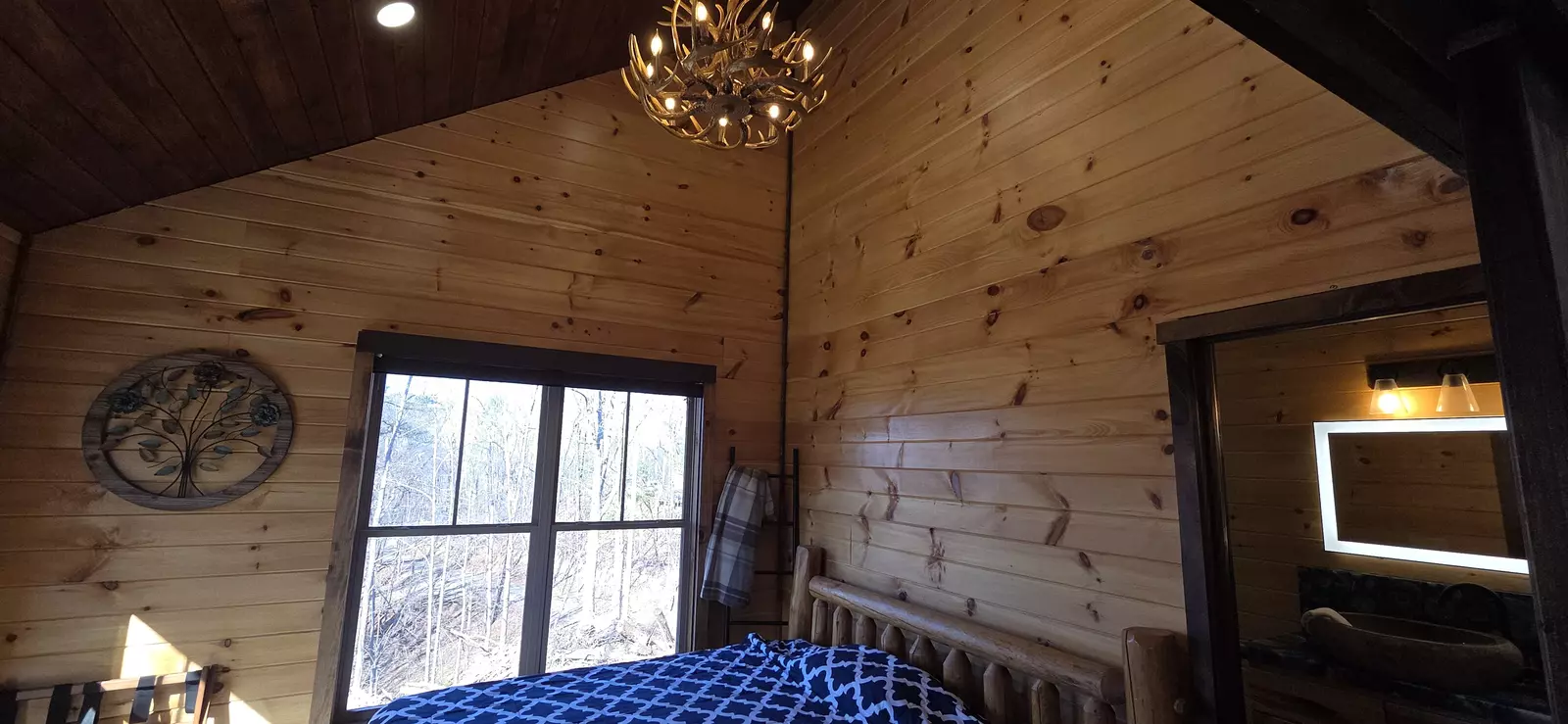 Birds Perch Bluebird