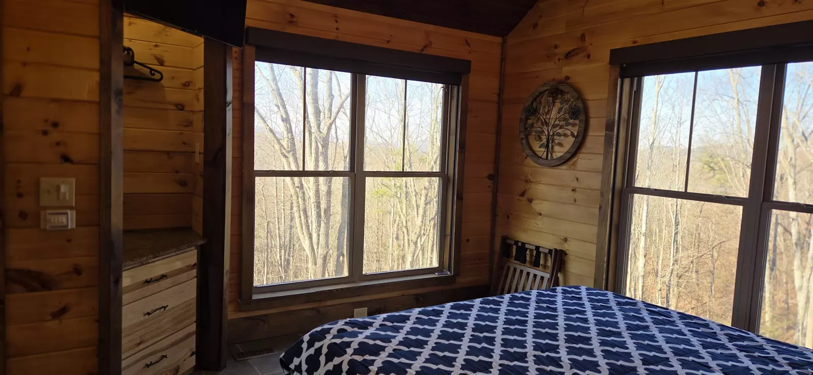 Birds Perch Bluebird