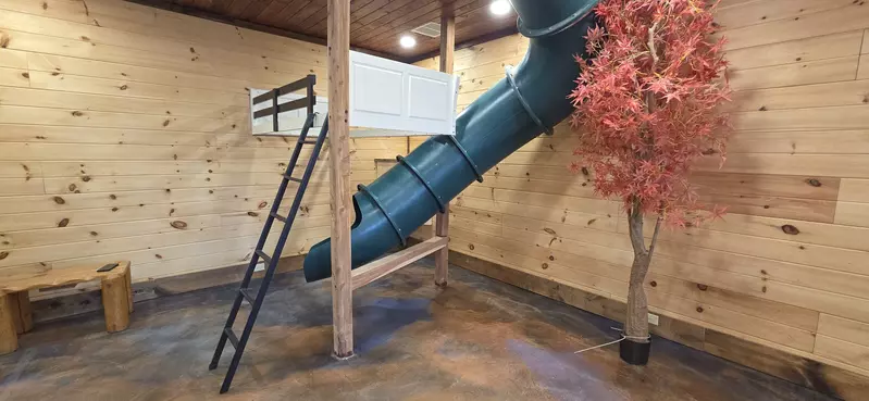 Birds Perch Bluebird