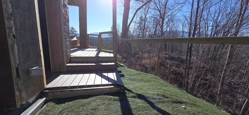 Birds Perch Bluebird