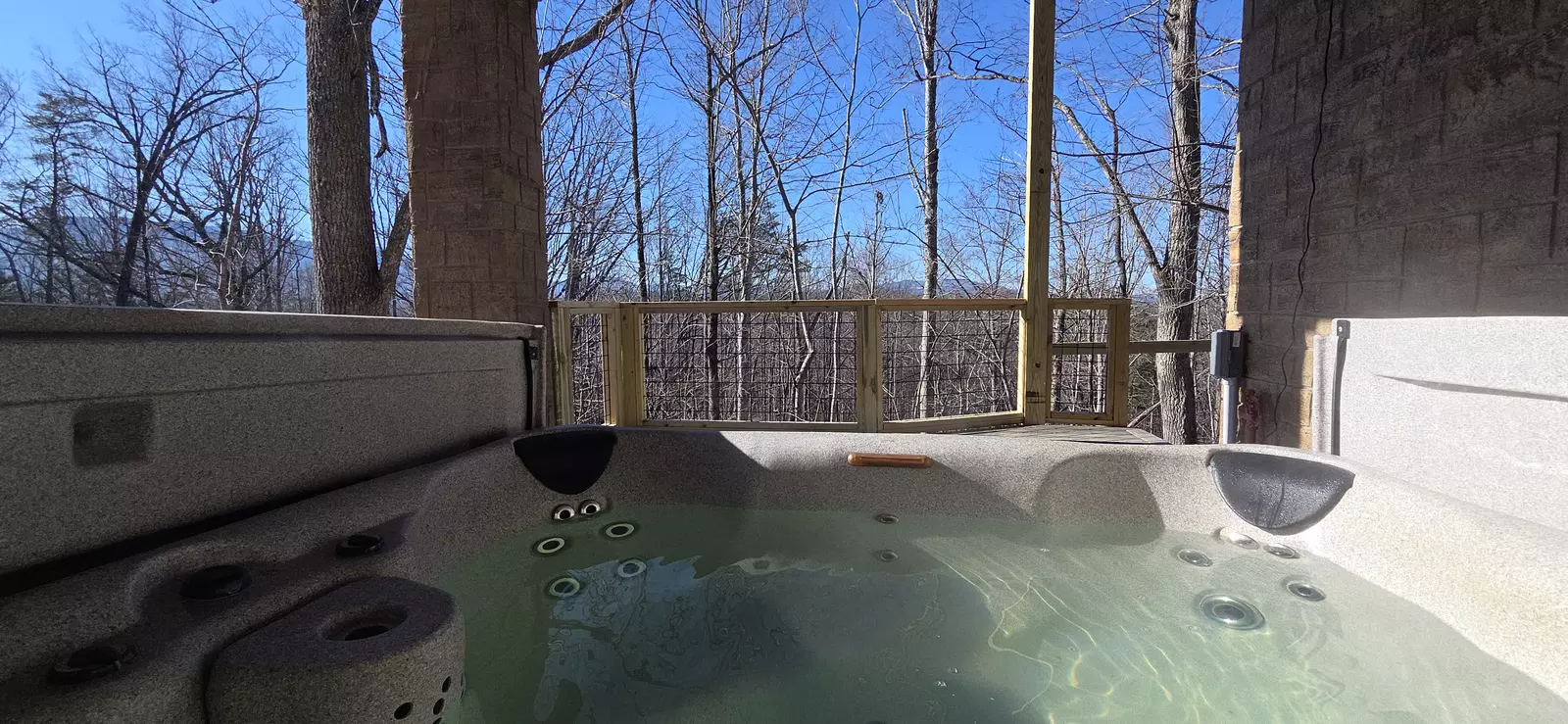 Birds Perch Bluebird