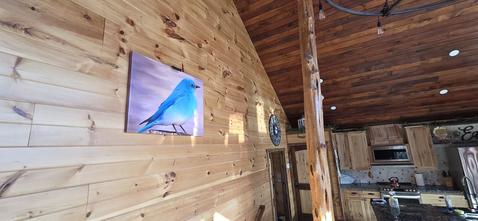 Birds Perch Bluebird