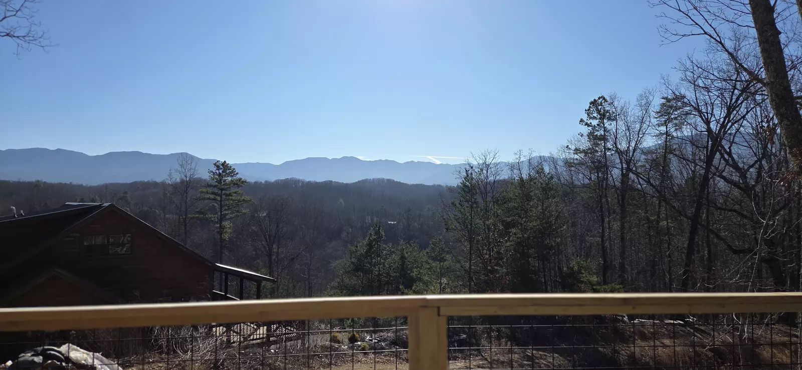 Birds Perch Bluebird