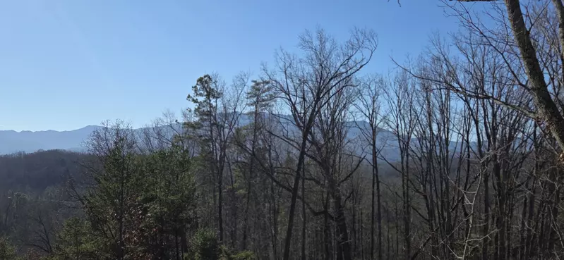 Birds Perch Bluebird