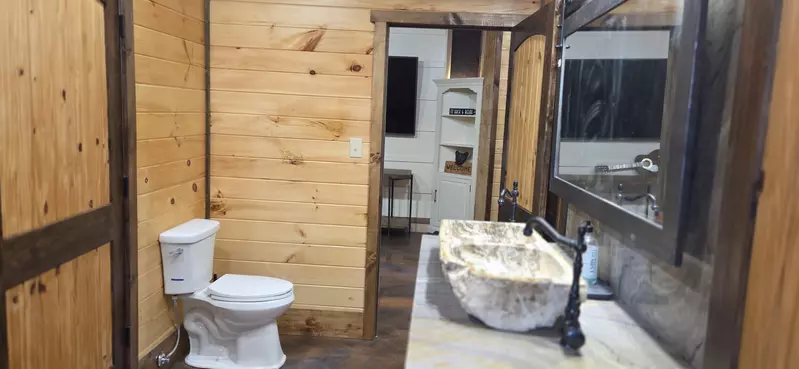 Birds Perch Bluebird