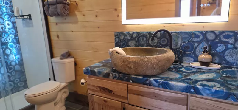 Birds Perch Bluebird