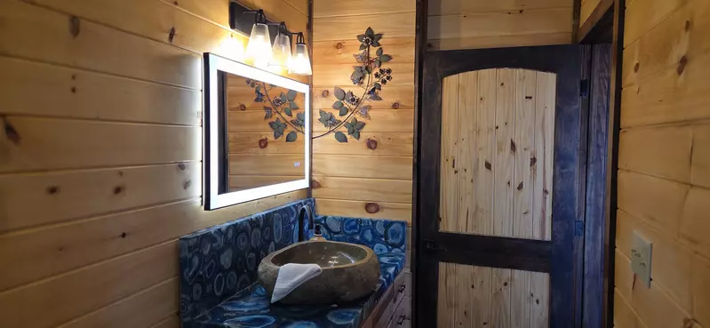 Birds Perch Bluebird