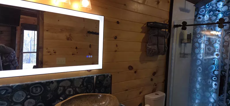 Birds Perch Bluebird