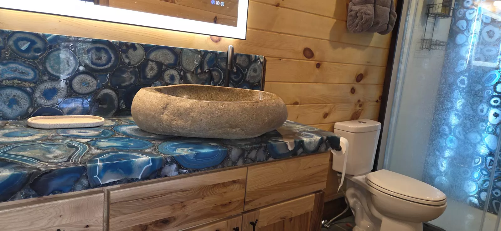 Birds Perch Bluebird