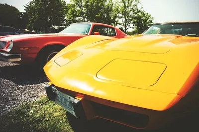 corvettes at show