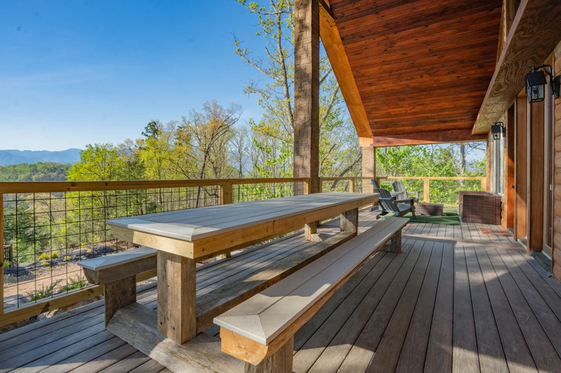 Birds Perch Bluebird