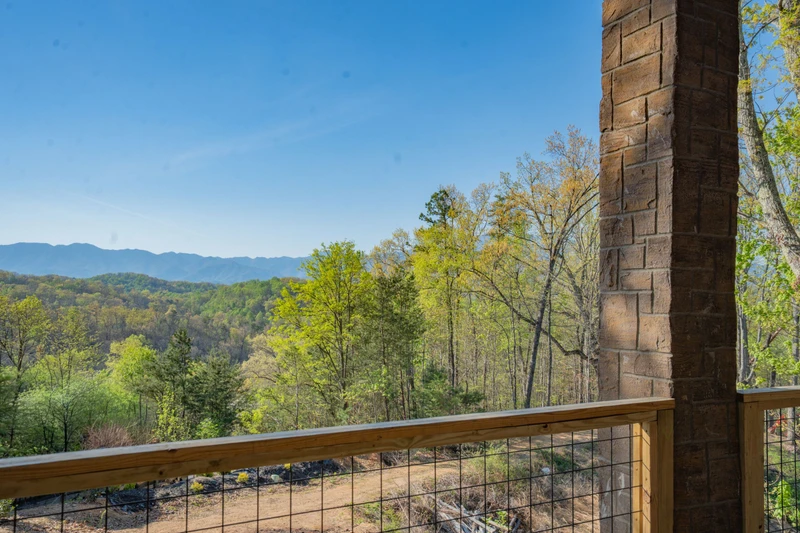 Birds Perch Bluebird