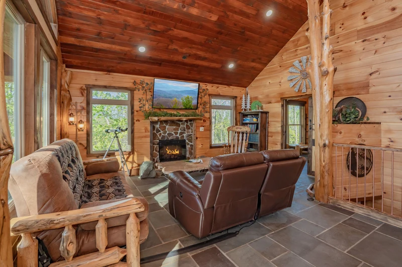 Birds Perch Bluebird