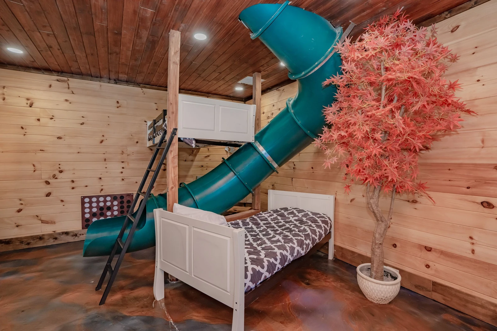 Birds Perch Bluebird