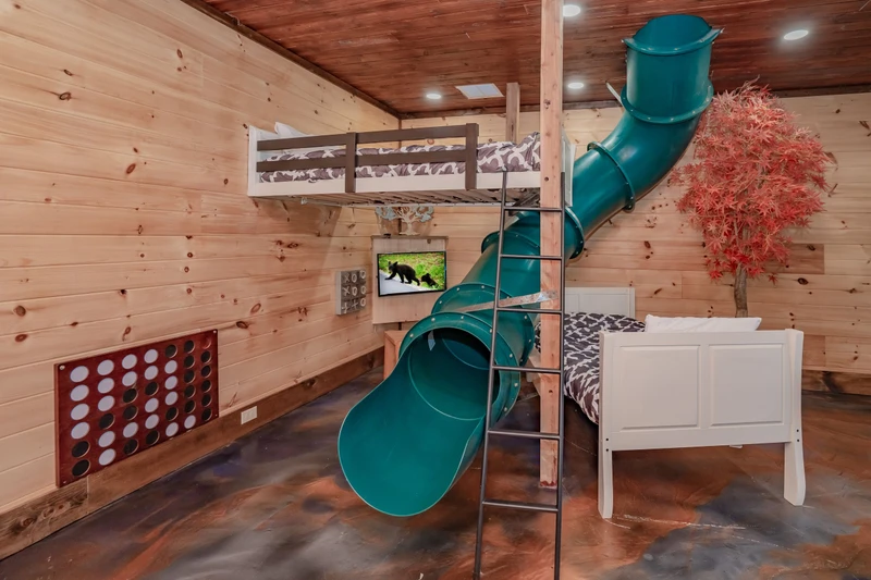 Birds Perch Bluebird