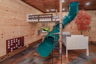 Birds Perch Bluebird