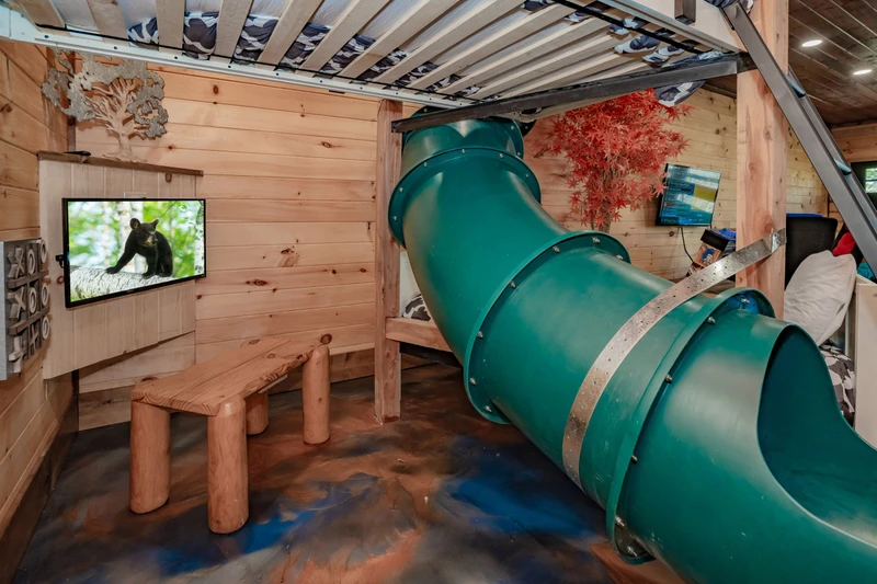 Birds Perch Bluebird