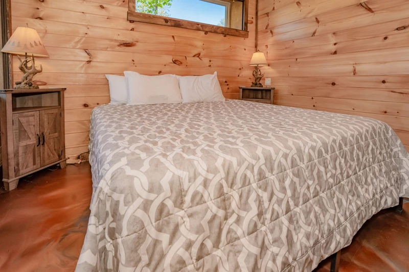 Birds Perch Bluebird