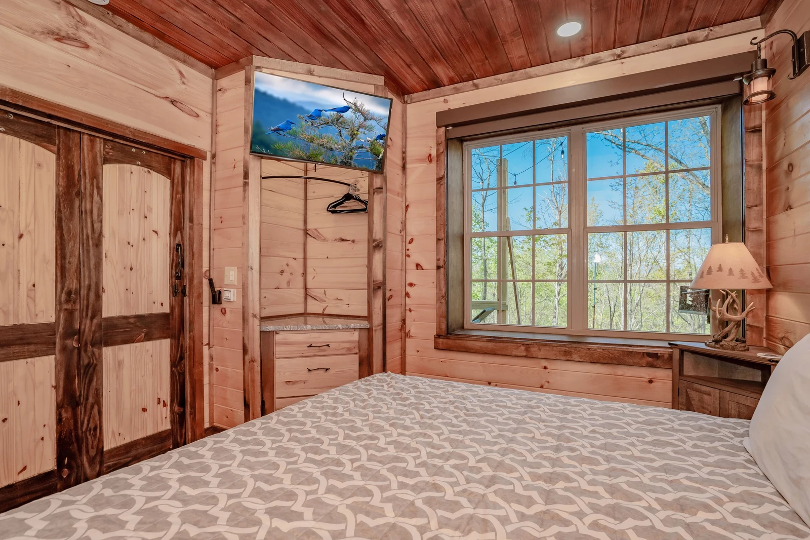 Birds Perch Bluebird