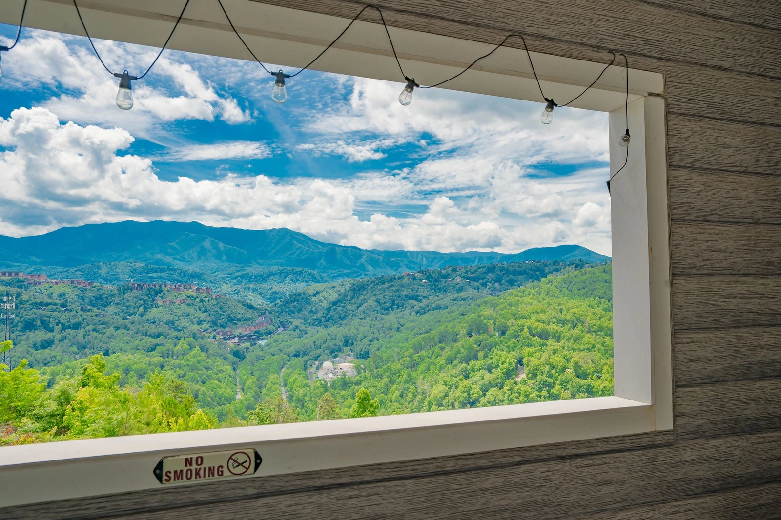 Mountain Top LeConte