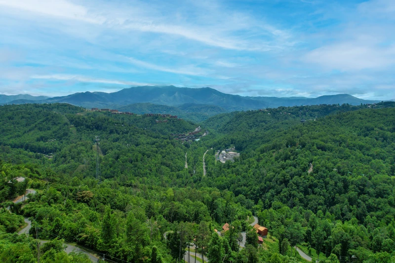 Mountain Top LeConte