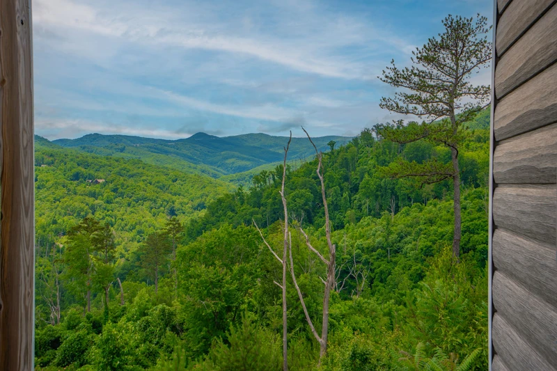 Mountain Top Ober