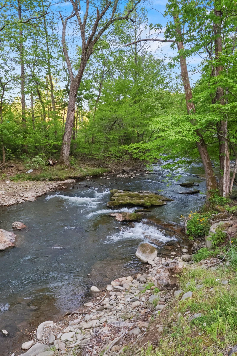 Quaint Cabin on Cosby Creek