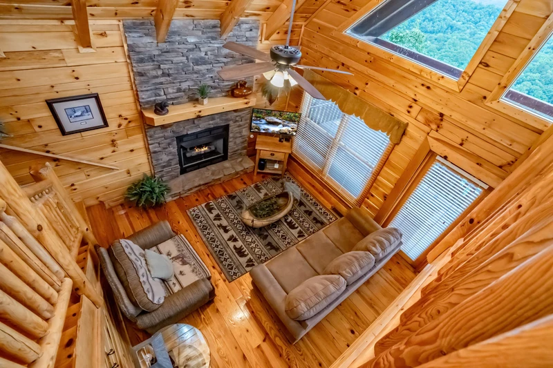 The Cats' Lair