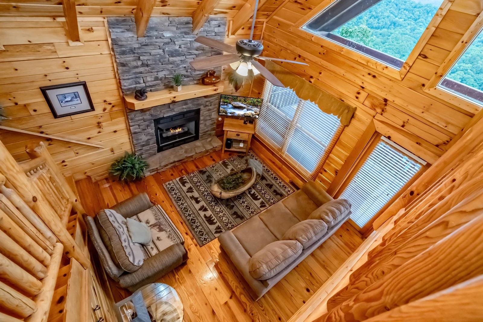 The Cats' Lair