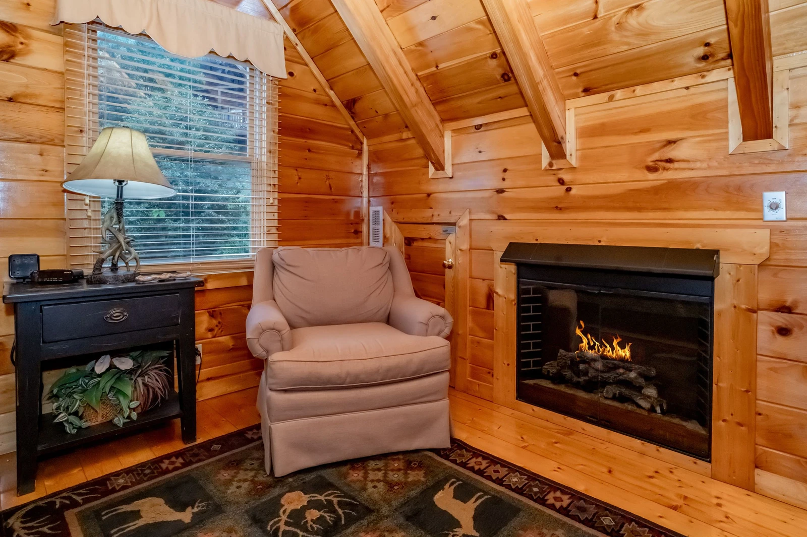 The Cats' Lair