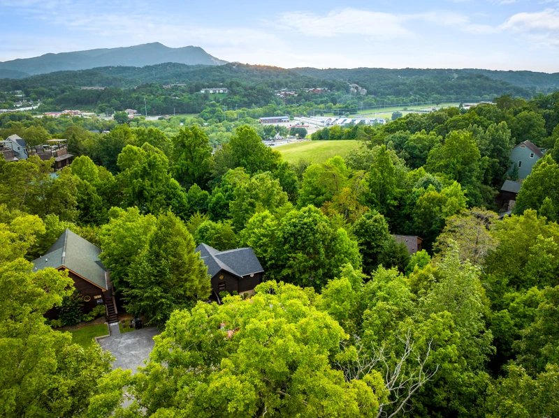 Evergreen Retreat