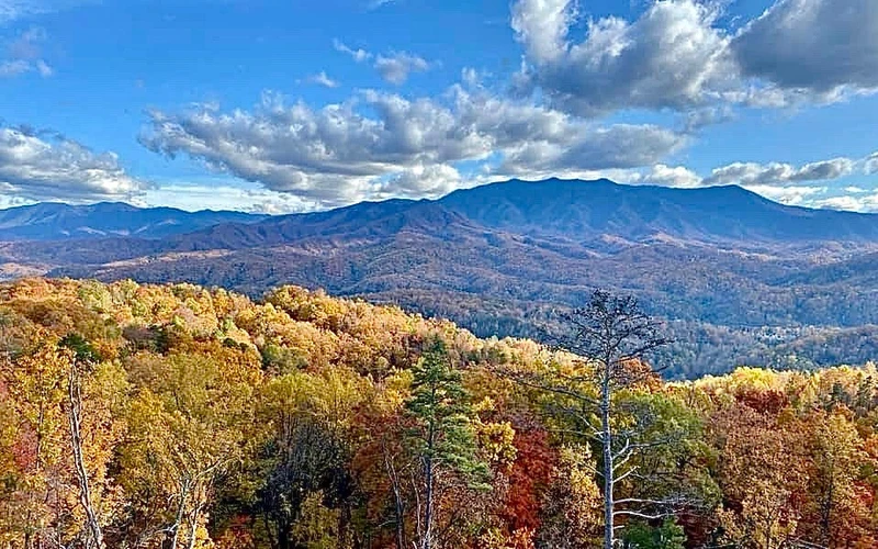 Amazing View Lodge