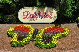 Dollywood butterfly at gate entrance